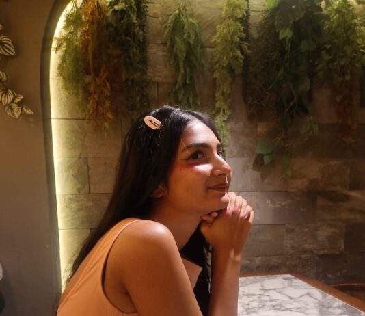 Inside The Cracks in My Dollhouse: Finding Yourself Within the Dollhouse
