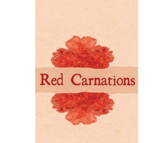 From Raw Emotions to Red Carnations: An Exclusive Conversation with Astha Khare